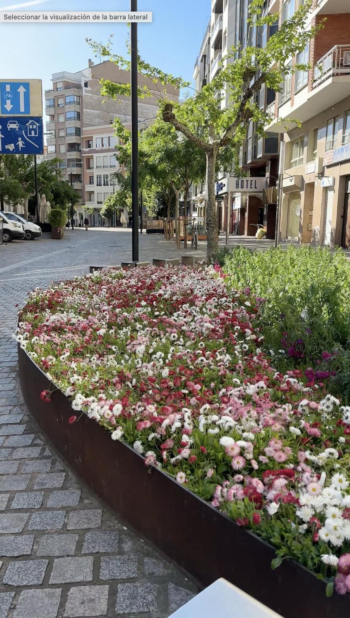 Esencia Del Casco Antiguo Apartment Logrono Luaran gambar